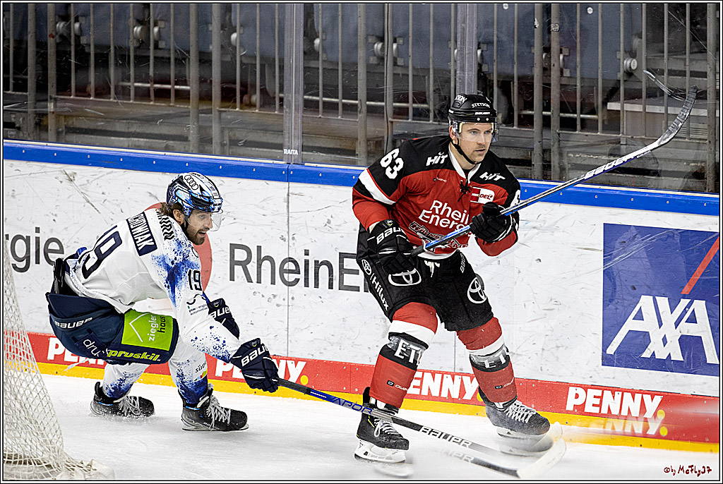 PENNY DEL;  Koelner Haie - ERC Ingolstadt; Koeln, 19.12.2021